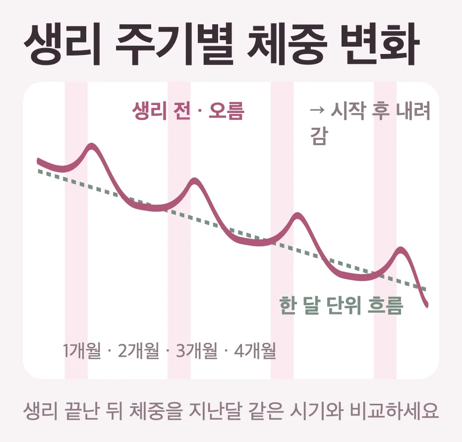 생리 주기에 따라 오르내리는 체중 흐름, 생리 전 수분이 늘어 오르고 시작 후 내려가며 한 달 단위로는 감량 추세가 이어지는 그래프