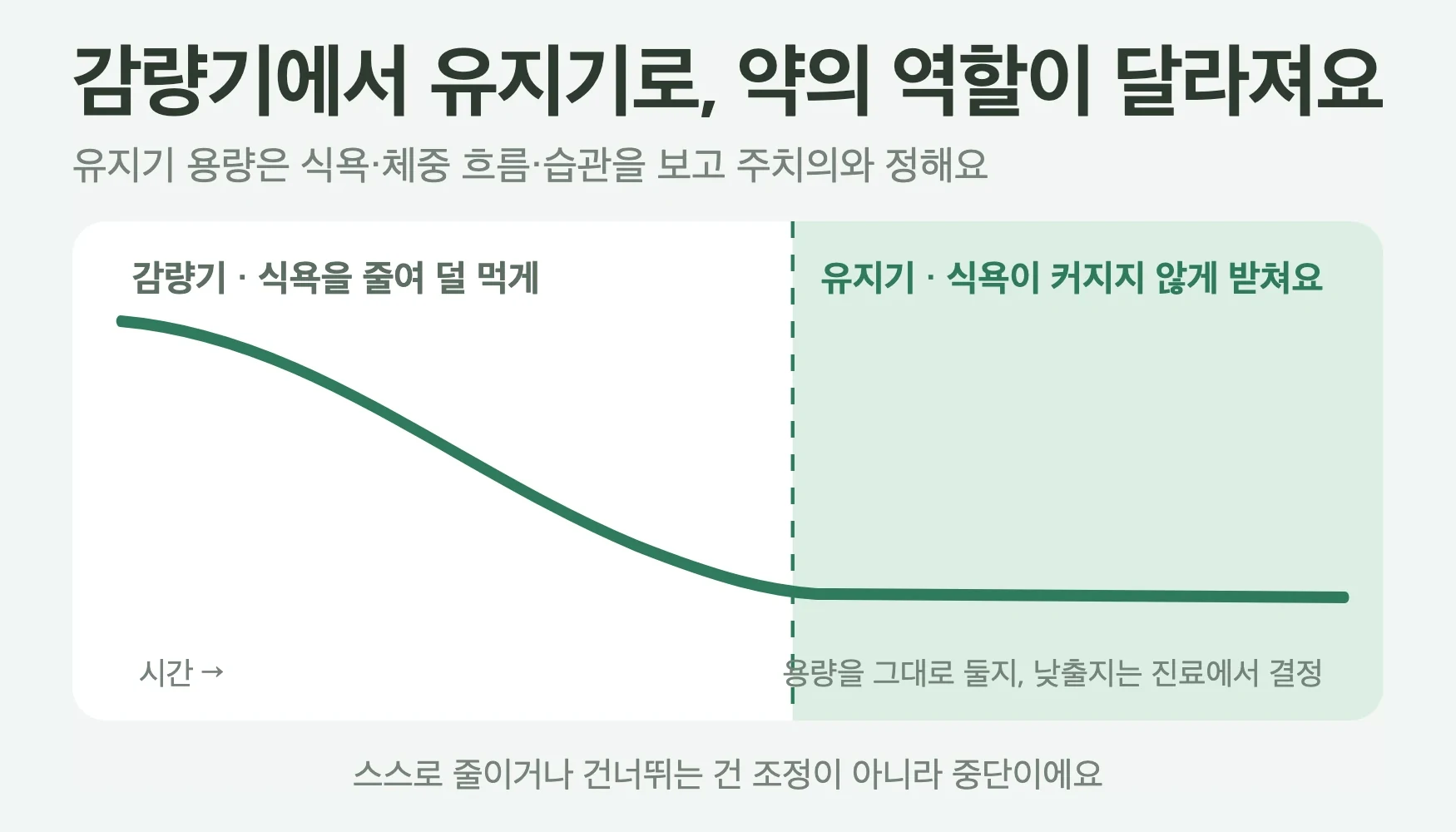 감량기에서 유지기로 이어지는 체중 흐름, 유지기에는 용량 조정을 주치의와 정하고 습관과 기록으로 받치는 구간