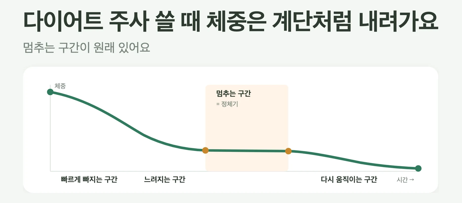 다이어트 주사를 쓸 때 체중이 계단처럼 내려가는 궤적, 빠르게 빠지는 구간, 느려지는 구간, 멈추는 구간, 다시 움직이는 구간