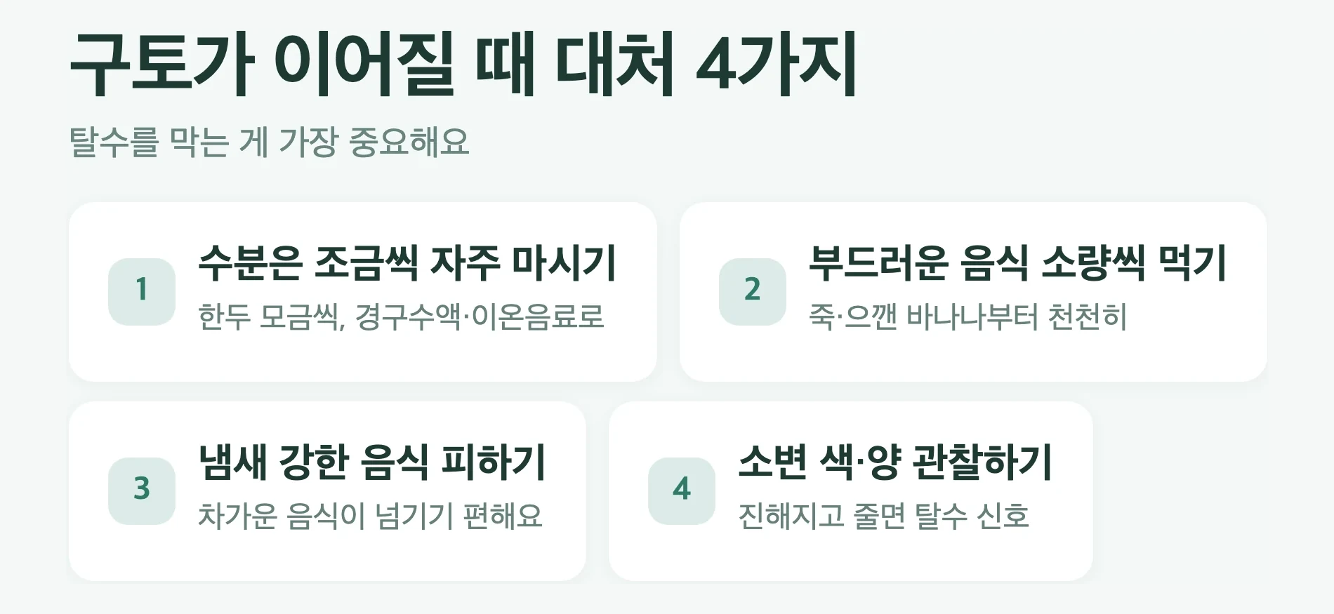 구토 시 대처 4가지, 수분 조금씩 자주, 부드러운 음식, 냄새 강한 음식 피하기, 소변 색 관찰