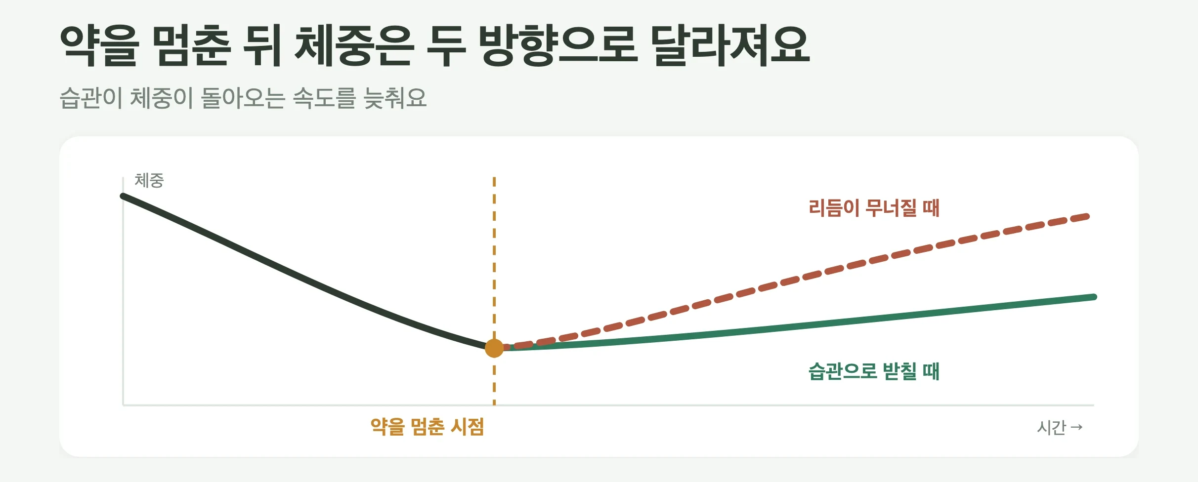 다이어트 주사를 끊은 뒤 체중 흐름 두 갈래, 습관을 이어가면 되돌아오는 폭이 완만해지고 리듬이 무너지면 더 빠르게 되돌아오는 곡선