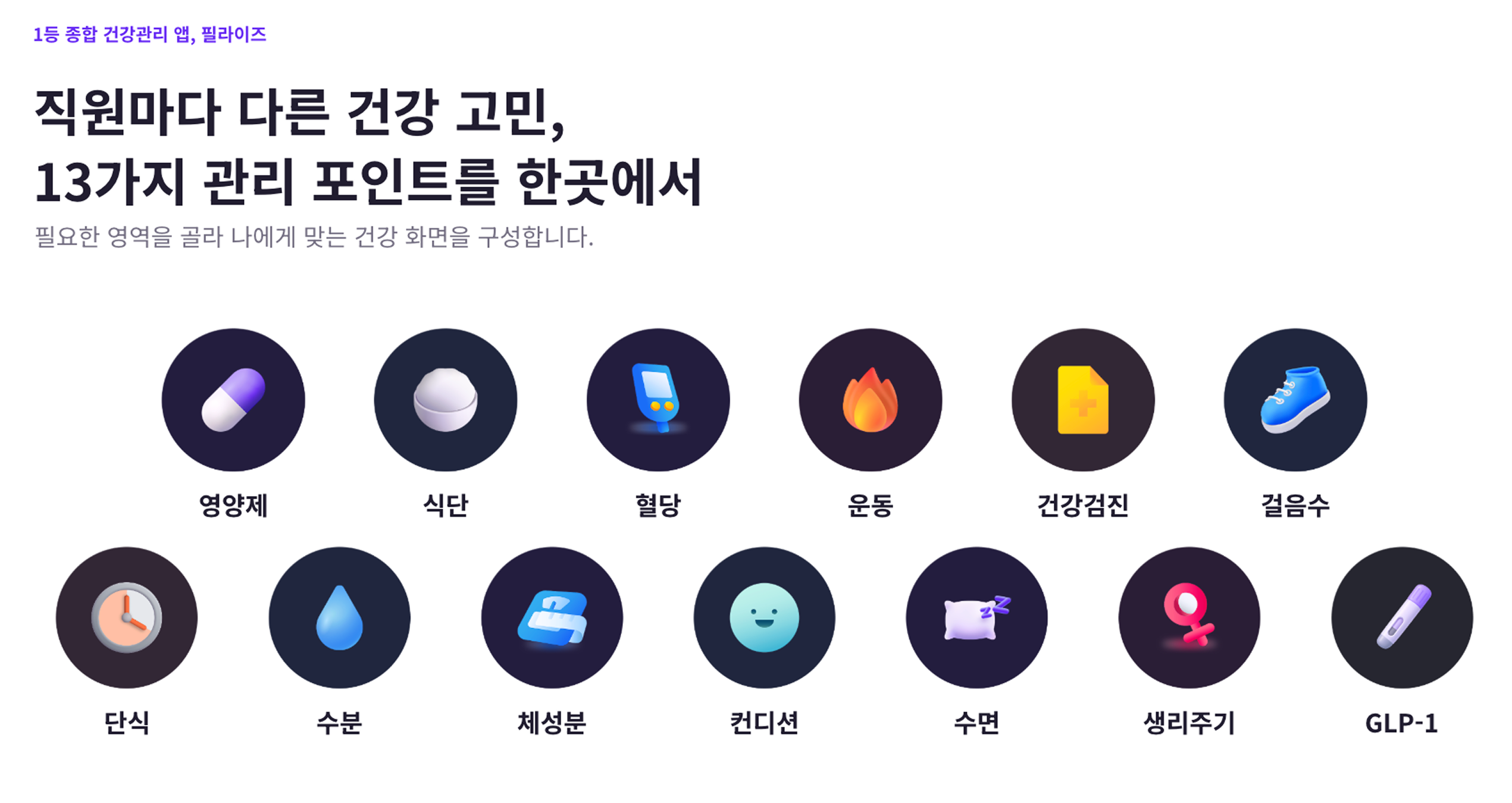 13개 핵심 관리 영역
