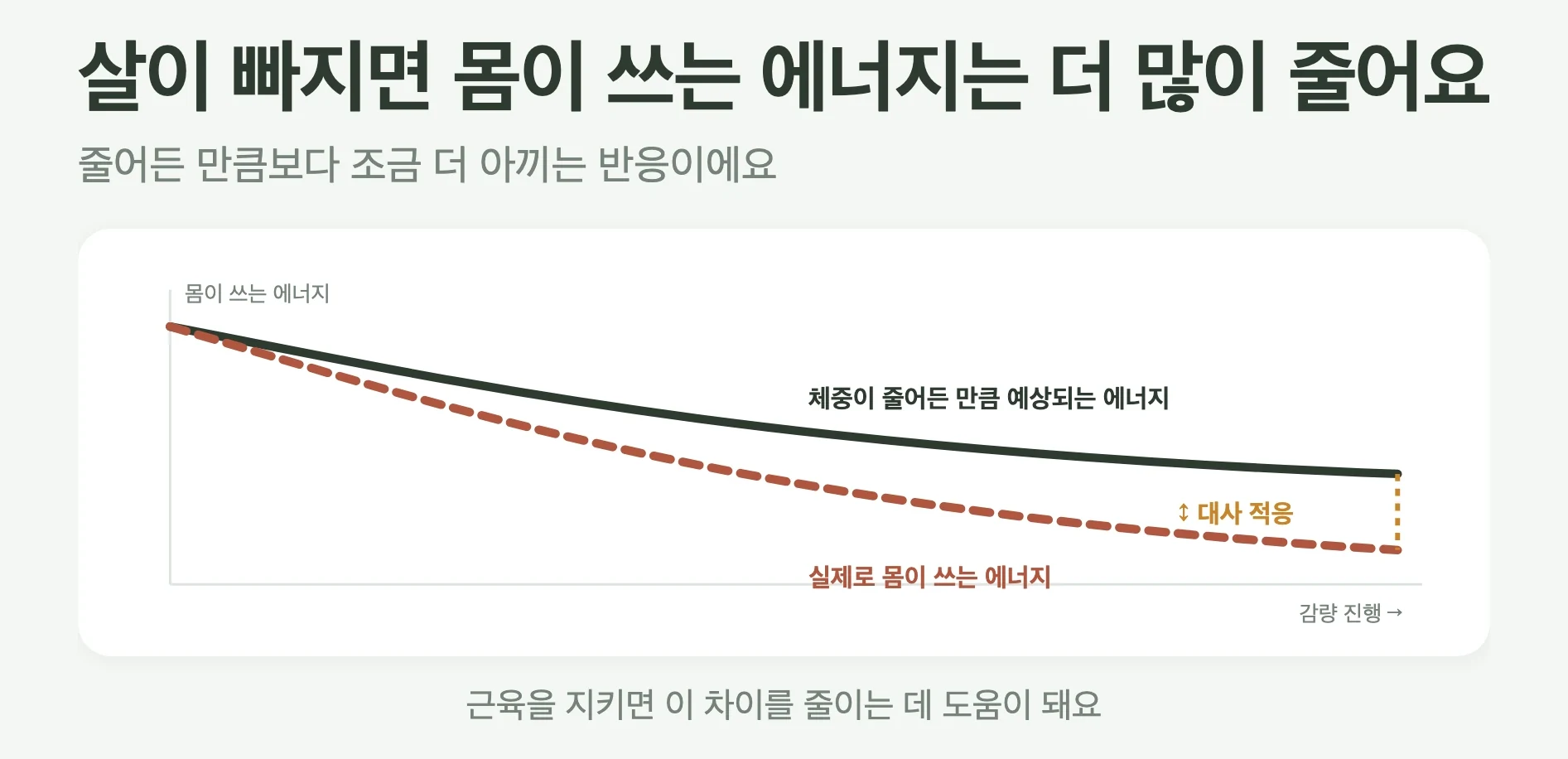 체중이 줄 때 몸이 쓰는 에너지가 체중보다 더 많이 줄어드는 대사 적응 곡선