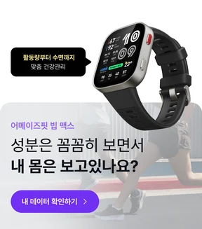 어메이즈핏